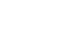 Dudley Council
